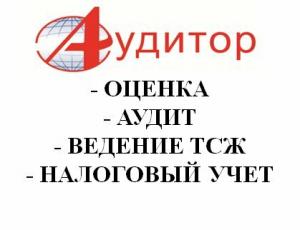 Фотография Аудитор 0