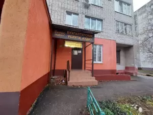 Фотография Бизнес-Аудит 1