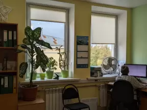 Фотография Бизнес-Советник 0